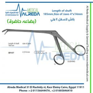 Length of shaft 185mm, Size of Jaws 4*x14mm بانش لاسفل 4 ملي