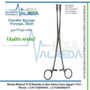 Foerster Sponge Forceps, 25cm