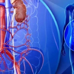 Urology Surgery Instruments