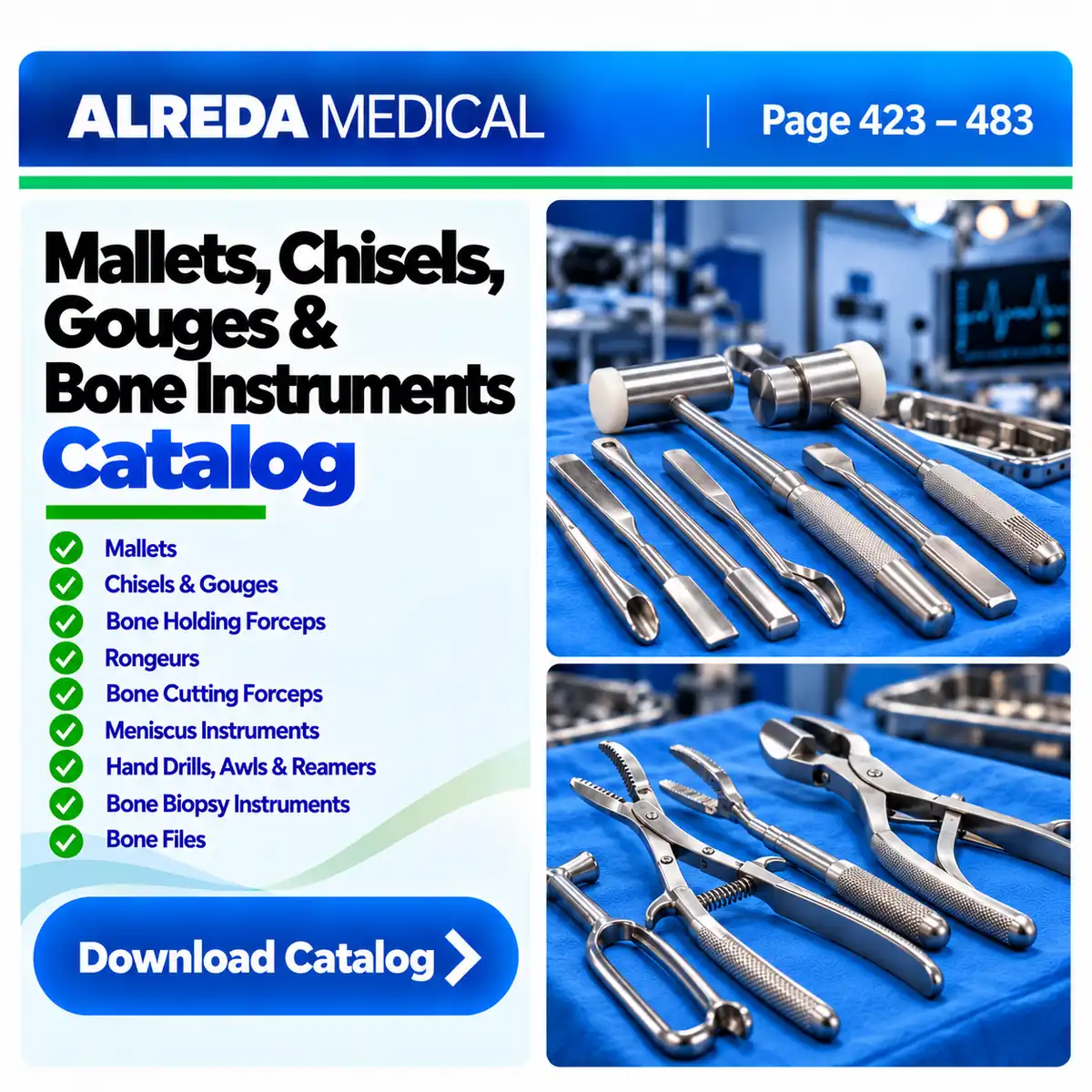 Mallets Chisels Gouges Bone Instruments ALREDA Catalog