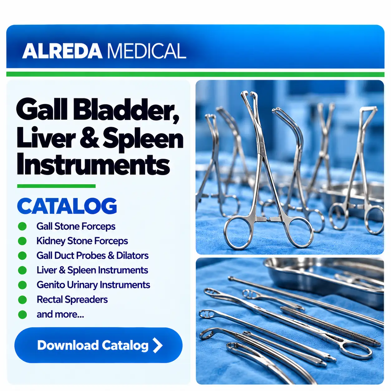gall bladder liver spleen genitourinary catalog alreda